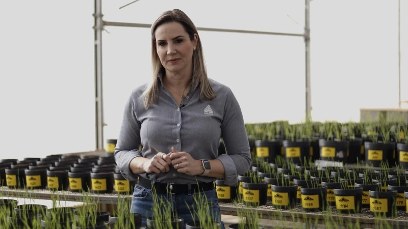 Construção da Produtividade: manejo integrado pode elevar produtividade da soja em mais de 7 sacas por hectare Construção da Produtividade: manejo integrado pode elevar produtividade da soja em mais de 7 sacas por hectare