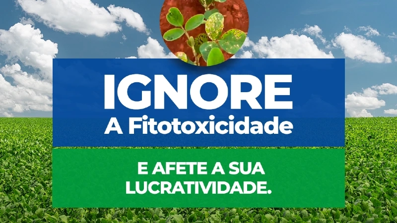 Fitotoxidade: o quanto você perde da sua lavoura da soja