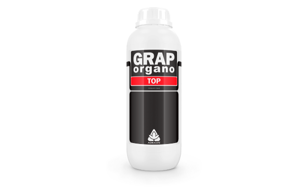 GRAP ORGANO TOP (Cópia)